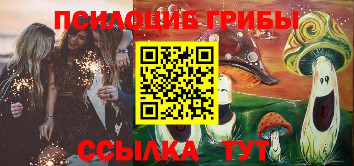 Псилоцибиновые грибы прущие грибы  Вход с VPN  Йошкар-Ола 